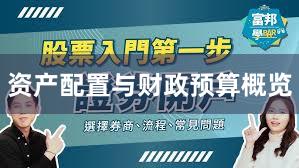 资产配置与财政预算概览